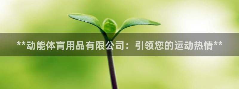 欧陆娱乐平台咋样啊：**动能体育用品有限公司：引领您
