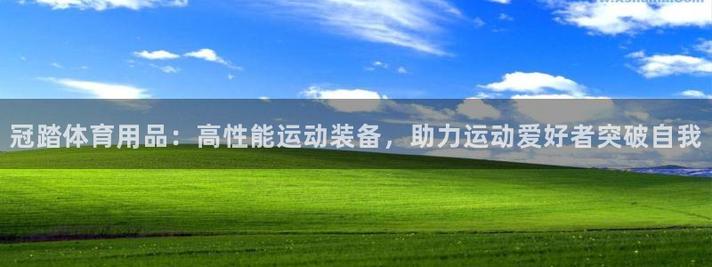 欧陆娱乐公司产品介绍图片