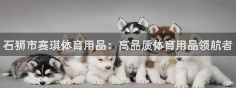 欧陆娱乐官网注册中心下载：石狮市赛琪体育用品：高品质