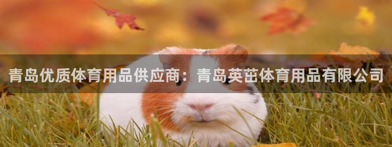 欧陆娱乐官方网站入口：青岛优质体育用品供应商：青岛英
