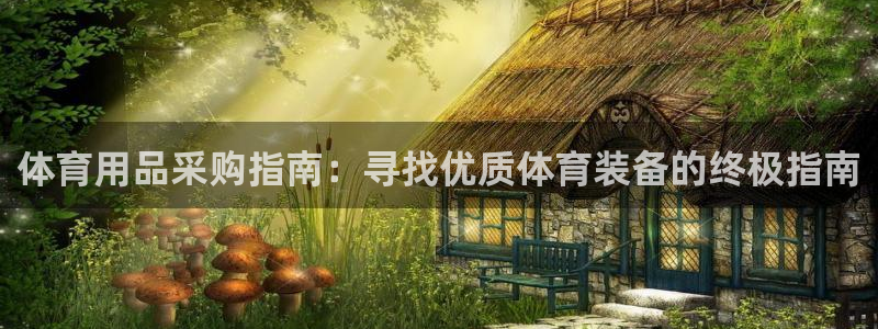 欧陆娱乐官网入口：体育用品采购指南：寻找优质体育装备