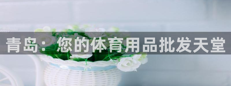 欧陆娱乐欢迎访问：青岛：您的体育用品批发天堂