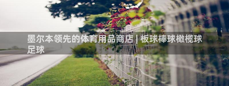 欧陆娱乐脚本怎么用：墨尔本领先的体育用品商店 | 板