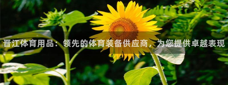 欧陆娱乐平台登陆地址是什么样的：晋江体育用品：领先的