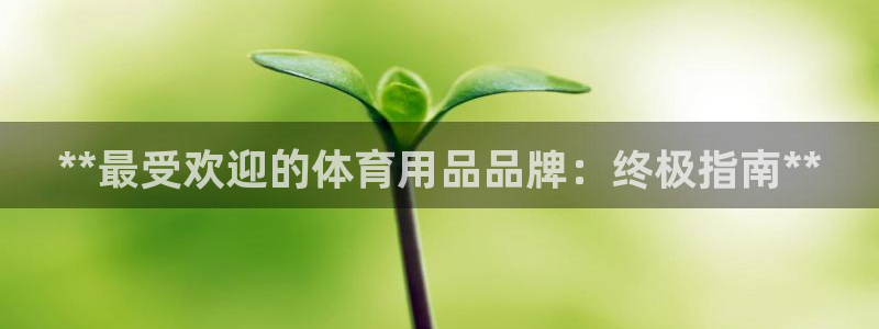 欧陆娱乐测速网站：**最受欢迎的体育用品品牌：终极指