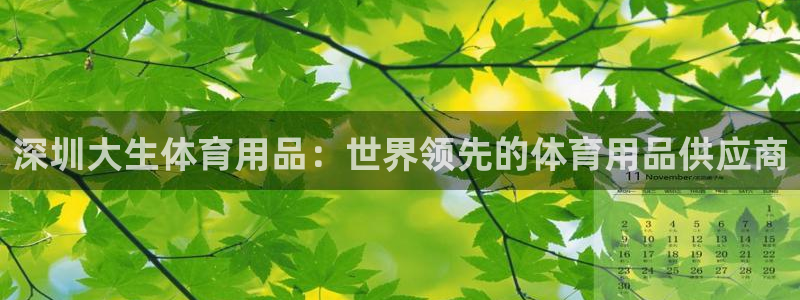欧陆娱乐登录测速软件：深圳大生体育用品：世界领先的体