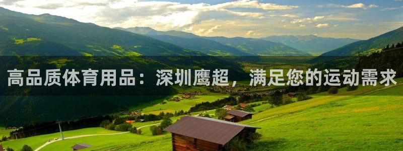 欧陆娱乐官网首页网址：高品质体育用品：深圳鹰超，满足