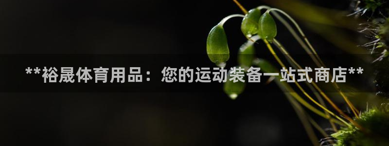 欧陆娱乐百科：**裕晟体育用品：您的运动装备一站式商