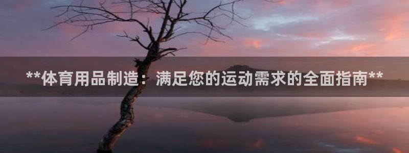 欧陆娱乐登录测速网站：**体育用品制造：满足您的运动