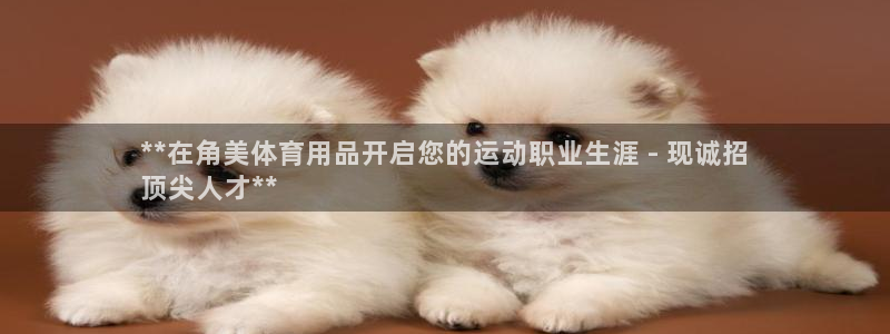 欧陆娱乐能赚钱吗知乎：**在角美体育用品开启您的运动