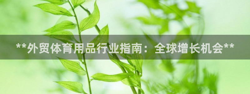 欧陆娱乐百科大全：**外贸体育用品行业指南：全球增长