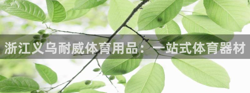 欧陆娱乐app下载：浙江义乌耐威体育用品：一站式体育