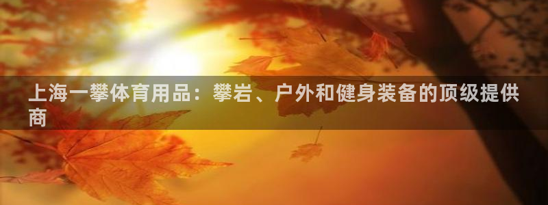 欧陆娱乐是正规平台吗安全吗可信吗是真的吗：上海一攀体