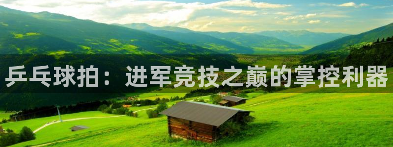 欧陆娱乐注册芯7o777ts=0：乒乓球拍：进军竞技