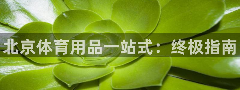 欧陆娱乐登录官网下载：北京体育用品一站式：终极指南