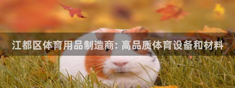 欧陆娱乐官方：江都区体育用品制造商: 高品质体育设备