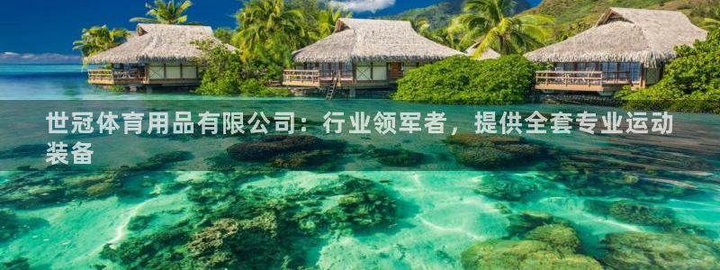 欧陆娱乐欢迎访问：世冠体育用品有限公司：行业领军者，