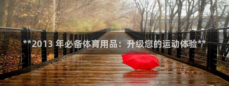 欧陆娱乐挂机项目怎么设置：**2013 年必备体育用
