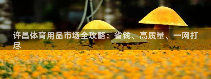 欧陆娱乐百科百度：许昌体育用品市场全攻略：省钱、高质