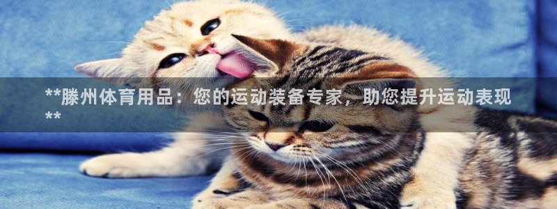欧陆娱乐官网：**滕州体育用品：您的运动装备专家，助