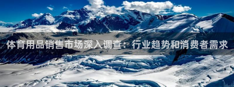 欧陆娱乐官网注册中心：体育用品销售市场深入调查：行业