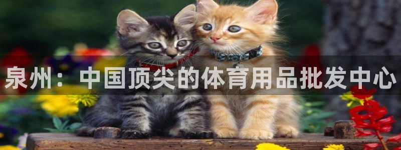 欧陆娱乐能赚钱吗知乎：泉州：中国顶尖的体育用品批发中