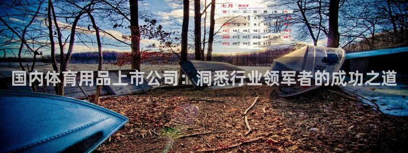 欧陆娱乐官方：国内体育用品上市公司：洞悉行业领军者的