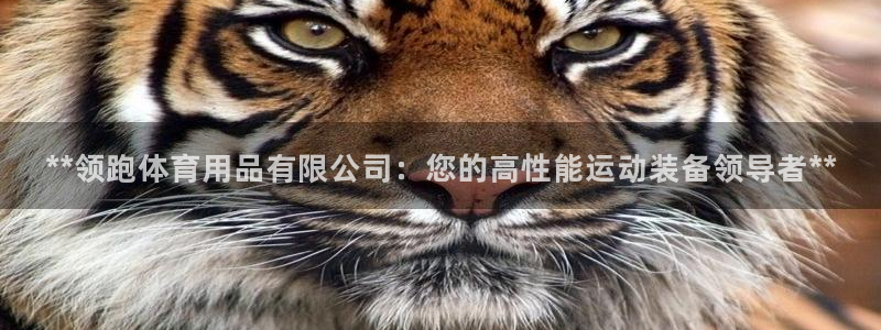 欧陆娱乐平台官网下载：**领跑体育用品有限公司：您的