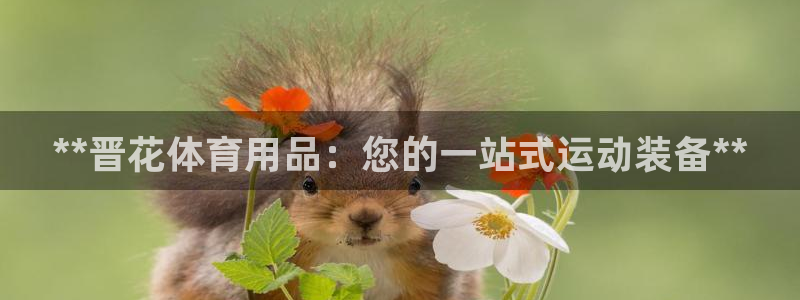 欧陆娱乐招商主管：**晋花体育用品：您的一站式运动装