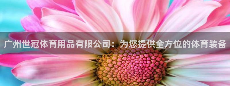 欧陆娱乐能赚钱吗：广州世冠体育用品有限公司：为您提供