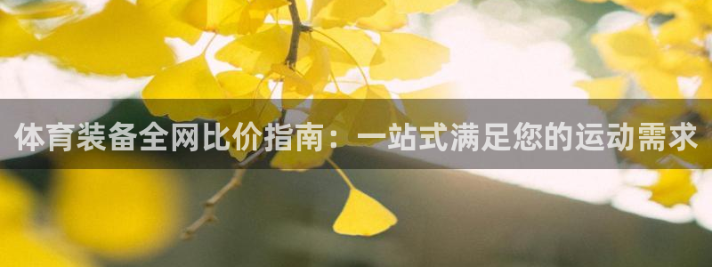欧陆娱乐是正规平台吗安全吗可信吗：体育装备全网比价指