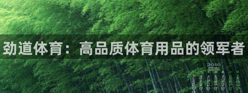 欧陆娱乐平台登陆地址在哪改：劲道体育：高品质体育用品