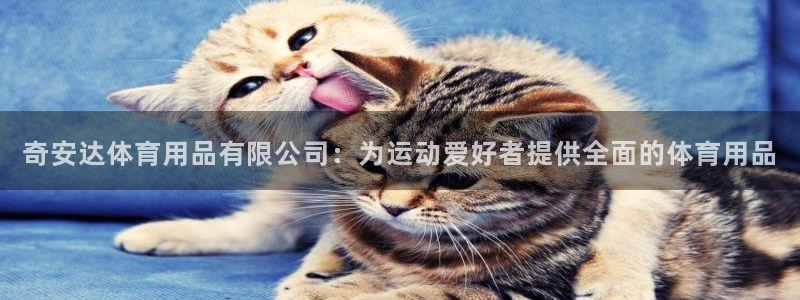 欧陆娱乐能提现嘛现在：奇安达体育用品有限公司：为运动