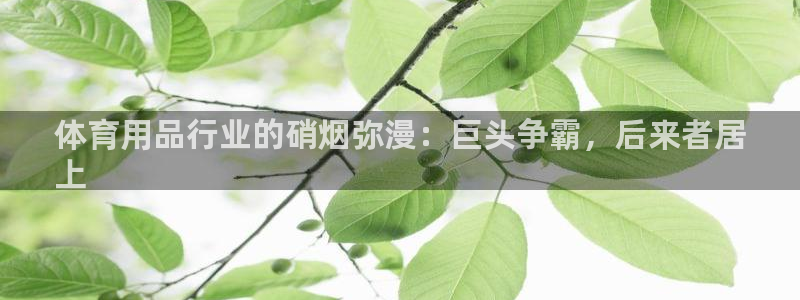 欧陆娱乐能提现嘛是真的吗：体育用品行业的硝烟弥漫：巨