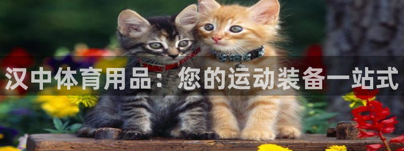 欧陆娱乐平台咋样啊赚钱：汉中体育用品：您的运动装备一