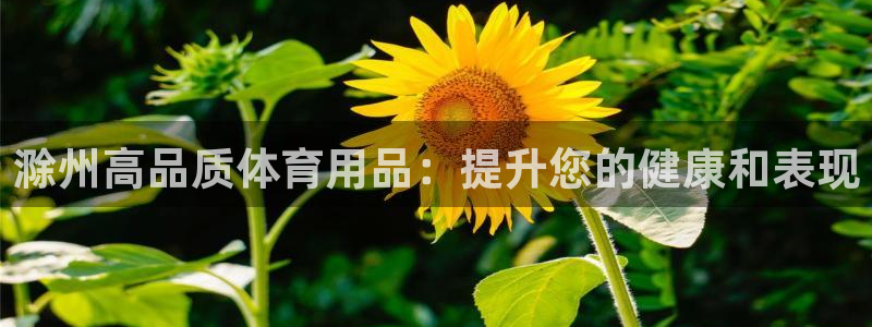 欧陆娱乐提现两百万：滁州高品质体育用品：提升您的健康