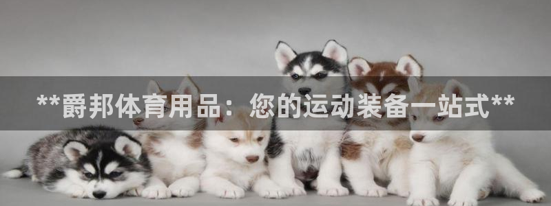 欧陆娱乐官网注册中心：**爵邦体育用品：您的运动装备