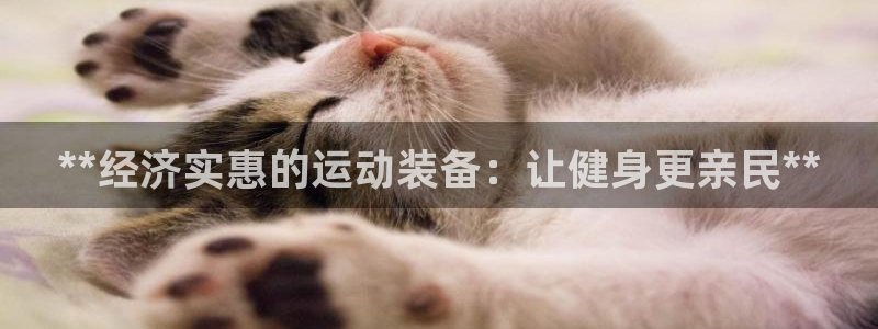 欧陆娱乐app攻略下载：**经济实惠的运动装备：让健