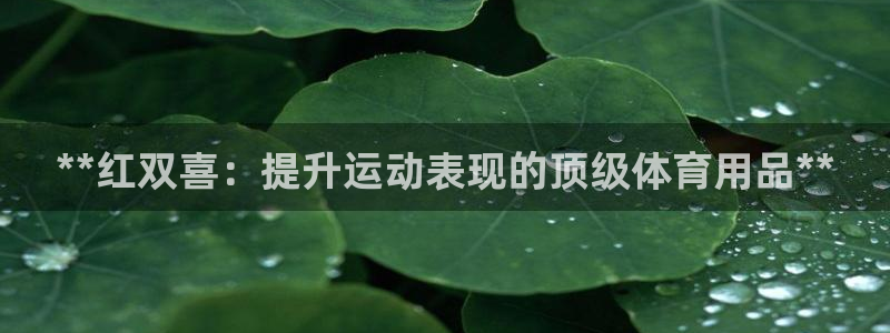 欧陆娱乐app打不开怎么回事儿：**红双喜：提升运动