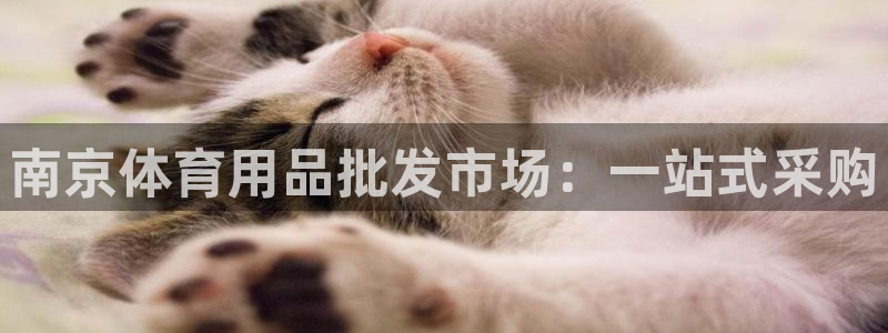 欧陆娱乐登陆平台下载：南京体育用品批发市场：一站式采