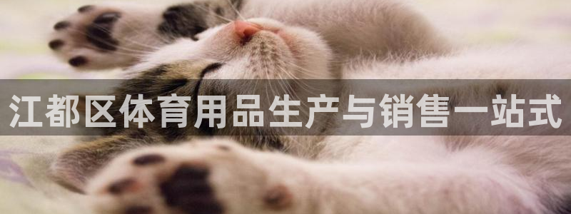 欧陆娱乐访问：江都区体育用品生产与销售一站式