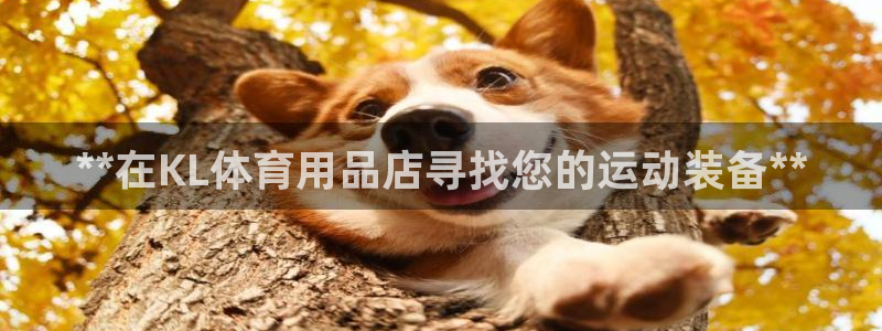 欧陆娱乐注册代理：**在KL体育用品店寻找您的运动装