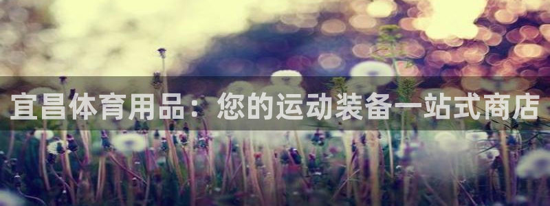 欧陆娱乐代理多少个点位啊：宜昌体育用品：您的运动装备