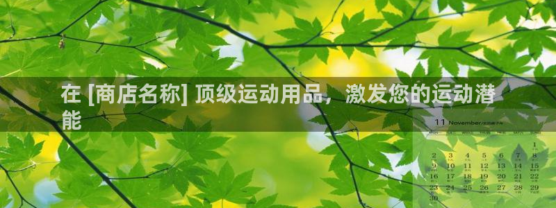欧陆娱乐登录测速软件：在 [商店名称] 顶级运动用品