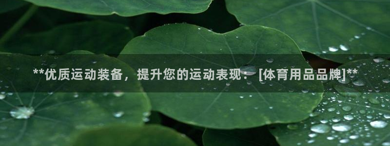 欧陆娱乐测试：**优质运动装备，提升您的运动表现： 