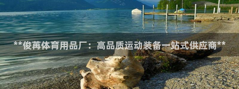 欧陆娱乐登录官网网址：**俊苒体育用品厂：高品质运动