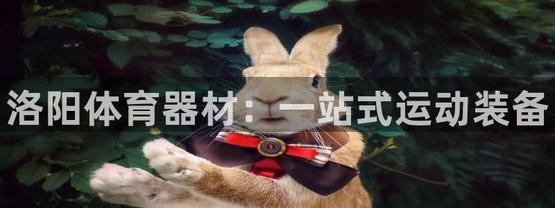 欧陆娱乐能赚钱吗：洛阳体育器材：一站式运动装备