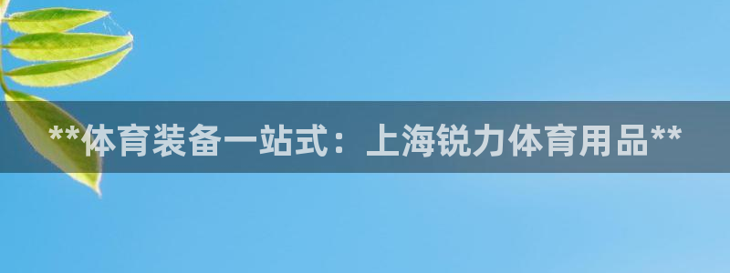 欧陆娱乐简介：**体育装备一站式：上海锐力体育用品*