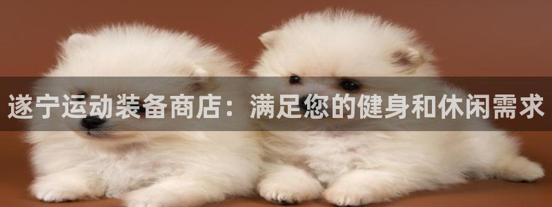 欧陆娱乐公司产品介绍图片：遂宁运动装备商店：满足您的