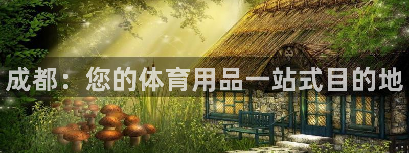 欧陆娱乐公司产品介绍大全：成都：您的体育用品一站式目